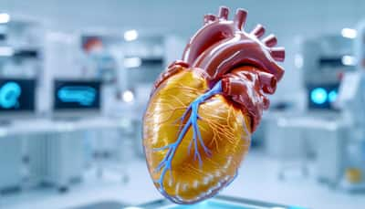 Breakthrough Study Reveals Artificial Hearts Can Regenerate Heart Muscle, Offering Hope For Heart Failure Cure