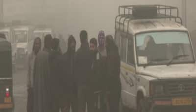 Dense Fog And Coldwave Grip Delhi After Light Rain, Air Quality Plunges To 'Severe' Level