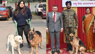 From Battlefield To Forever Homes: Indian Army's Initiative For Retired Military Dogs