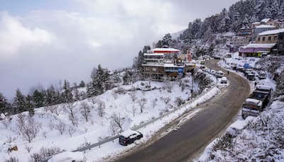 Shimla, Manali Blanketed In Snow On Christmas: 4 Dead, 223 Roads Shut, Hotel Occupancy Crosses 70%