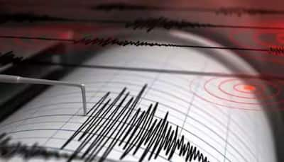 Kashmir Earthquake Today: Quake Of 4.0 Magnitude Jolts J&K, Epicenter In Baramulla