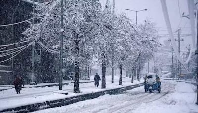 Snowfall Brings Cheer to Kashmir, Ladakh, and Chenab Valley Amid Western Disturbance