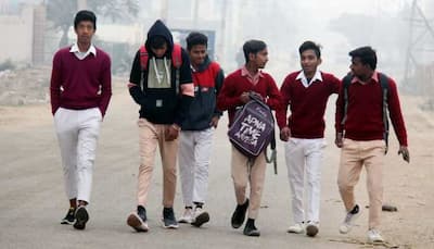 Haryana Declares Winter Holidays For Schools; Check Details