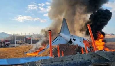 South Korea Plane Crash: What Led To Boeing 737-800 Accident? ATC Warned….