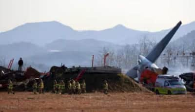 ‘Deeply Saddened’: India Expresses Condolences Over Tragic South Korea Plane Crash