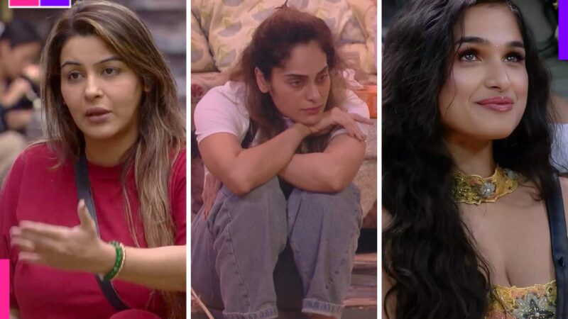 Bigg Boss 18: Yamini Malhotra suggests Shrutika Arjun’s troubled relationship with her mother makes her a narcissist,  'Iski maa isko pyaar nahin karti hai…’