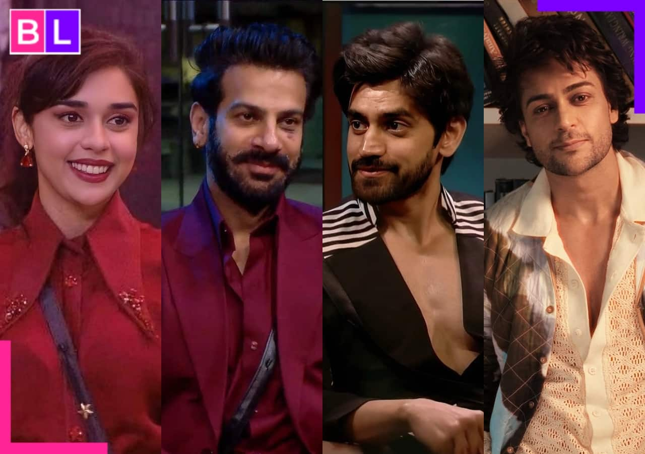 Bigg Boss 18: Avinash Mishra or Shalin Bhanot? Karan Veer Mehra has his pick for Eisha Singh