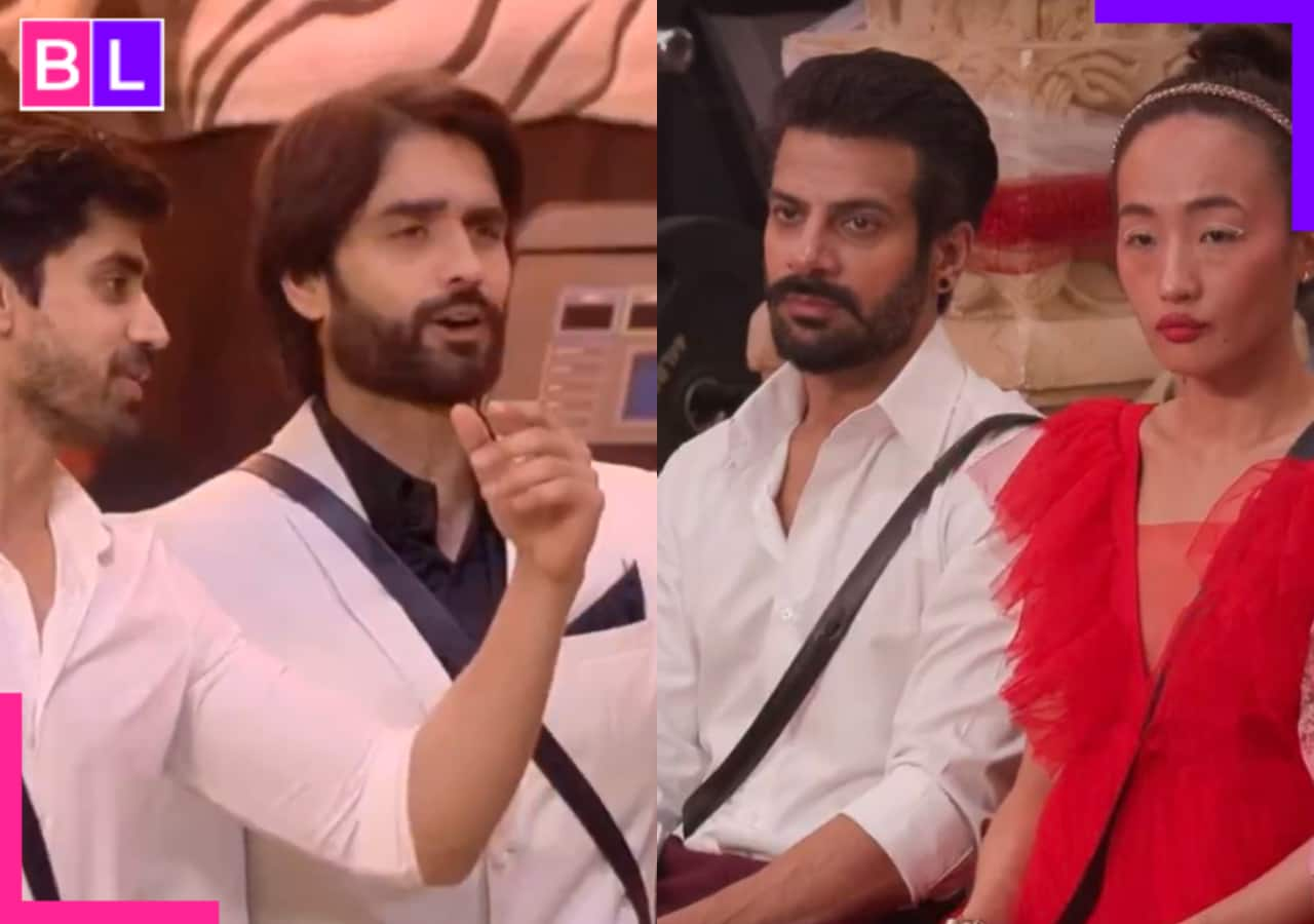 Bigg Boss 18: Not Karan Veer Mehra, Chum Darang is the new target of Avinash Mishra, Vivian Dsena; here’s proof