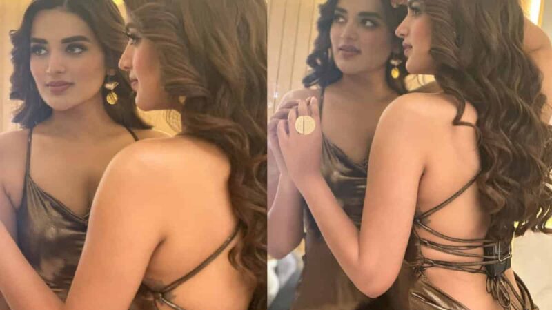 Busy year ahead for Gorgeous Actress Nidhhi Agerwal