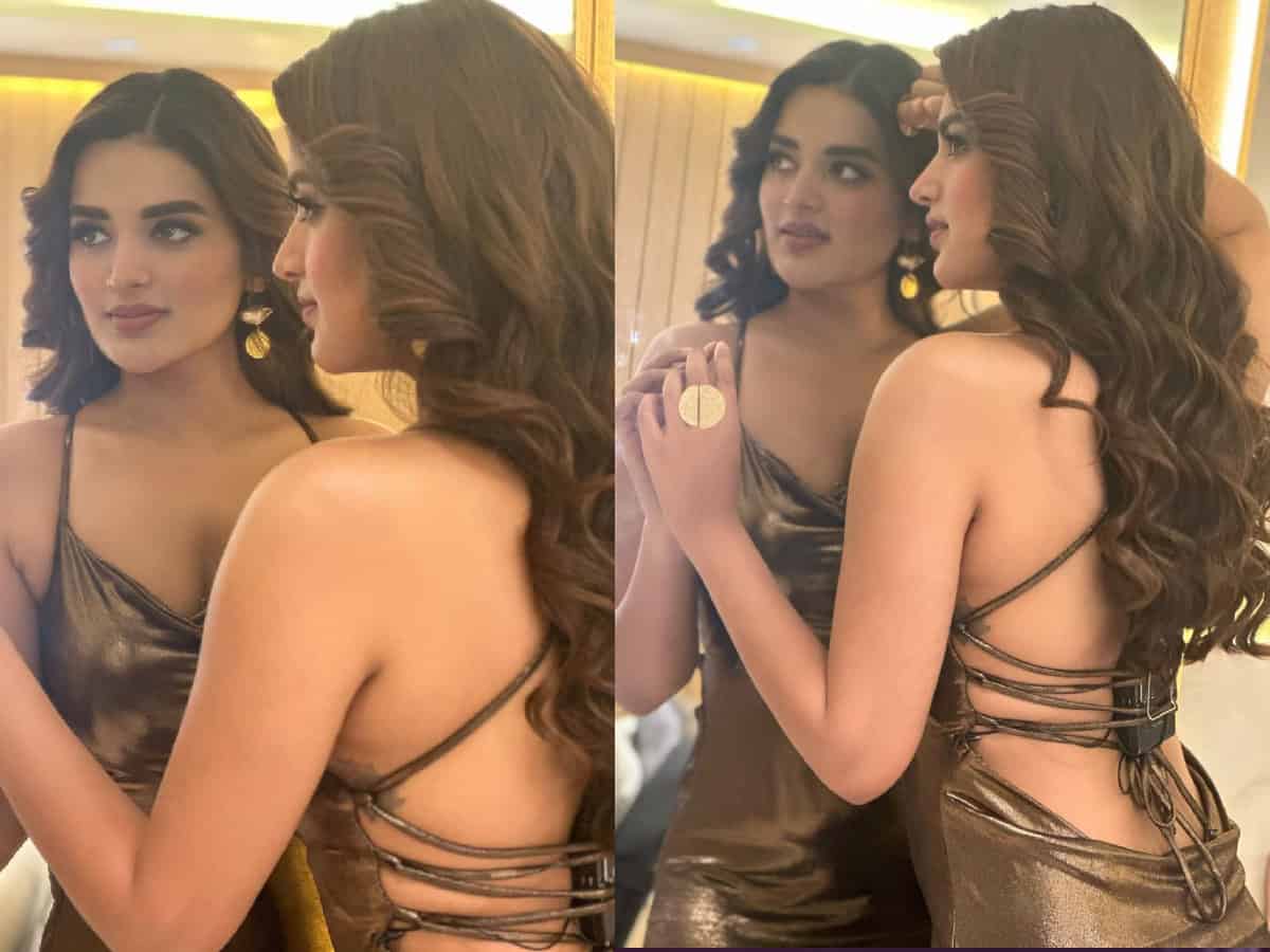 Busy year ahead for Gorgeous Actress Nidhhi Agerwal