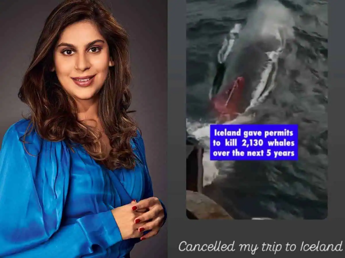 Upasana Cancels Iceland Trip: Details Inside!