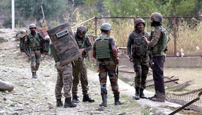 Security Forces' Strategy Brings Peace to Jammu and Kashmir in 2024 But...