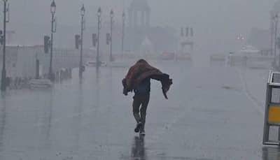 Delhi Weather: Several Train Delays As Dense Fog Grips National Capital; Air Quality Remains 'Very Poor'