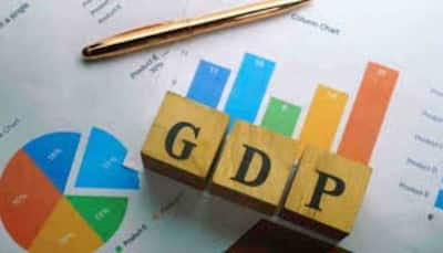 Govt Pegs India’s GDP Growth At 6.4 Per Cent For 2024-25; Agriculture Bounces Back, Services Surge