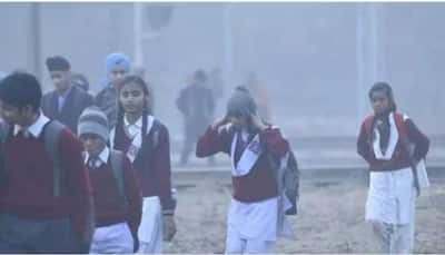 Punjab School Holidays: Winter Vacation Extended Due to Cold Wave; Classes To Resume On January 8