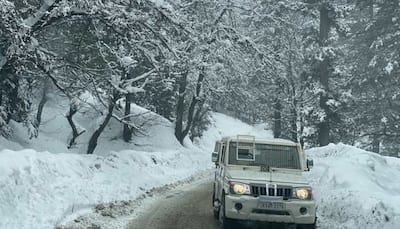 Snowfall Turns Game Changer: Over 12,000 Tourists Visit Kashmir In First Week Of The Year