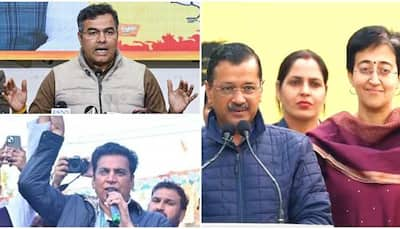 Delhi Election 2025: Full List Of Candidates And Their Constituencies - AAP vs BJP vs Congress