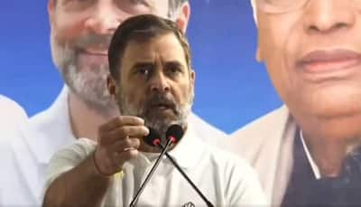 Delhi Polls: Rahul Gandhi Targets Arvind Kejriwal, PM Modi Over Inflation, Corruption, Caste Census