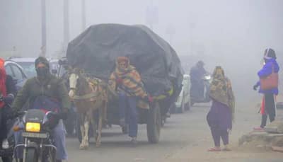 Weather Update: IMD Issues Orange Alert For Dence Fog In Delhi, Predicts Heavy Rain In Tamil Nadu — Check Full Forecast