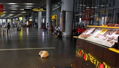 Business Idea 2025: Want To Set Up Food And Beverages Automated Vending Machines At Noida International Airport? Check Tender Details, Deadline