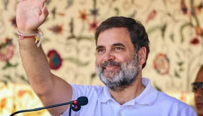 Contract To Destabilize India?’ BJP Hits Out at Rahul Gandhi Over Hindenburg