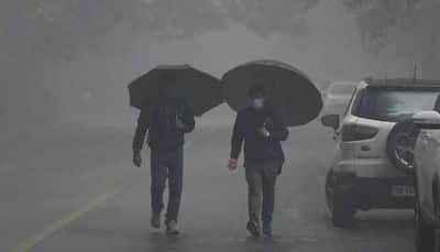 Weather Update: IMD Issues Alert For Dense Fog In Delhi, Predicts Rainfall In Tamil Nadu