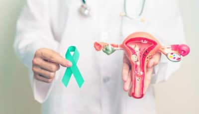 Understanding The Risk Factors Of Cervical Cancer: A Healthcare Perspective On Prevention