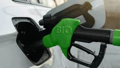 Need Govt Policy To Make Bioethanol Fuels Price More Affordable For Wider Adoption In India: Honda