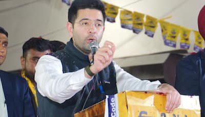 ‘Vote For AAP, Save Rs 25,000 A Year’: Raghav Chadha’s Big Claim Ahead Of Delhi Polls