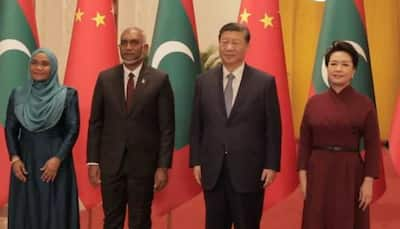 'Need To Take That Into Account...': India On Maldives' Revenue Loss Due To China Free Trade Agreement