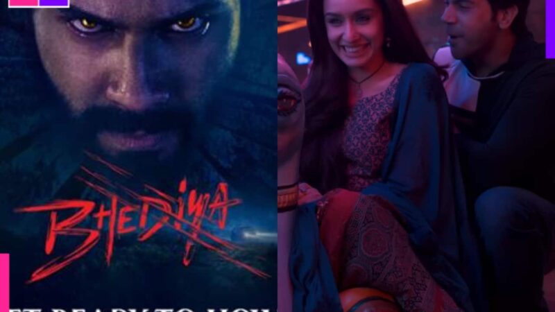 Bhediya 2, Shakti Shalini, Stree 3 and more; Maddock set for horror comedy universe with 8 films lined up from 2025 to 2028