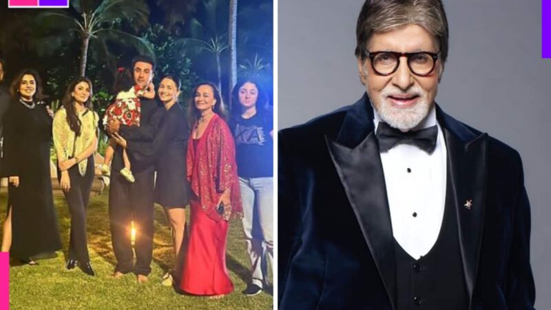 Happy New Year 2025: Amitabh Bachchan, Alia Bhatt, Ananya Panday, Sonakshi Sinha and Triptii Dimri wish fans with heartfelt posts