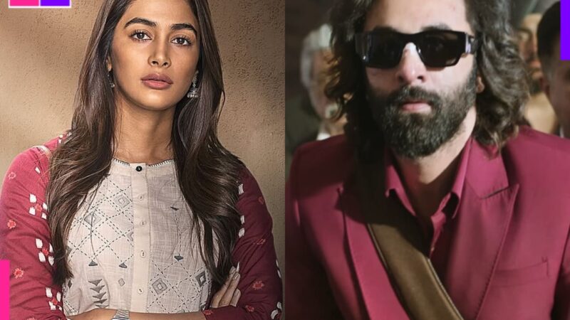 Deva actress Pooja Hegde hits out at Ranbir Kapoor starrer Animal? Actress says ‘you’ve seen alpha…’