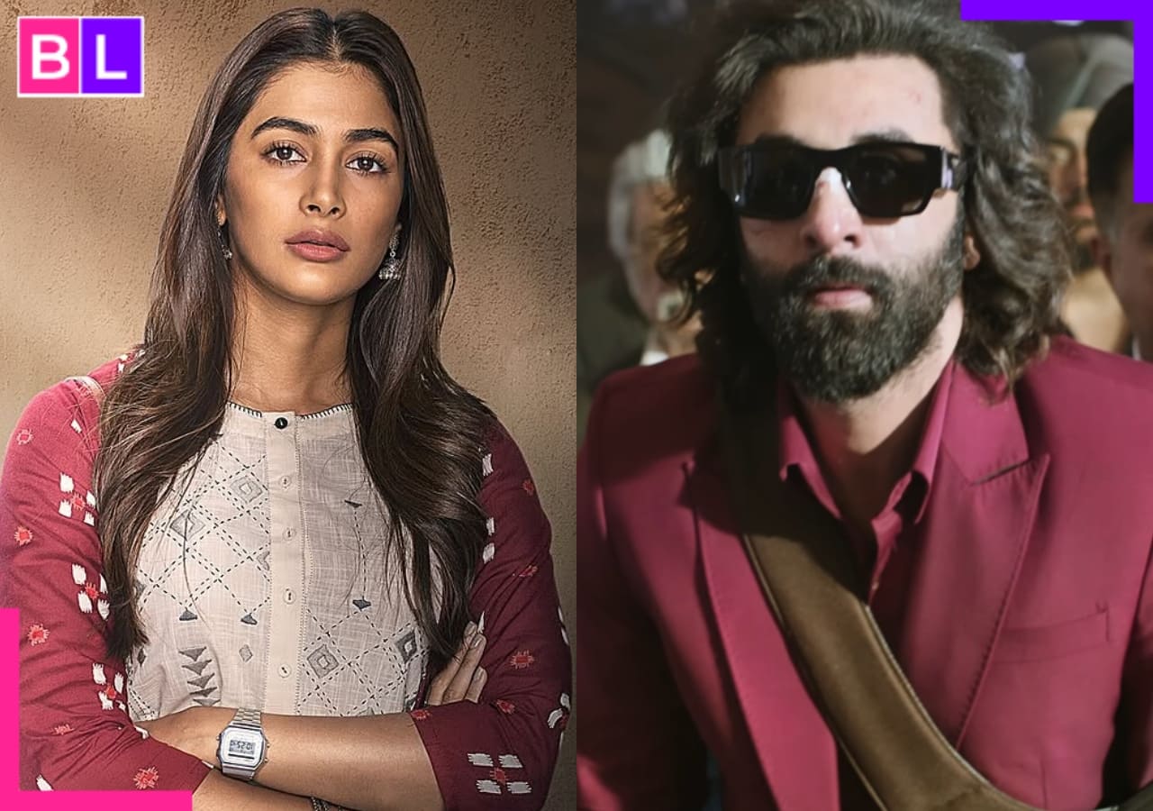 Deva actress Pooja Hegde hits out at Ranbir Kapoor starrer Animal? Actress says ‘you’ve seen alpha…’