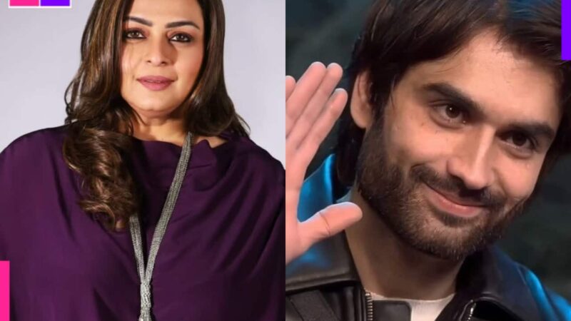 Shilpa Shirodkar reacts to Vivian Dsena not inviting her, Karan Veer Mehra and Chum Darang to his party, ‘Didn’t want..’