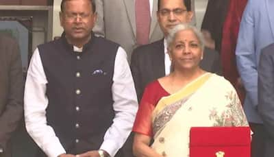 Budget 2025: FM Nirmala Sitharaman's Saree Tribute To Madhubani Art