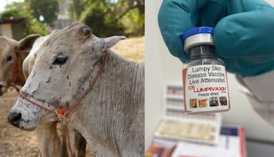 India’s First Lumpy Skin Disease (LSD) Vaccine For Dairy Cattle And Buffaloes Gets CDSCO Approval