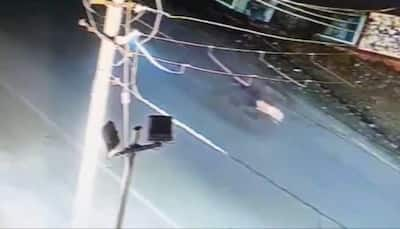 Leopard Crossing Road Collides With Milkman In Viral Video, Here’s What Happens Next