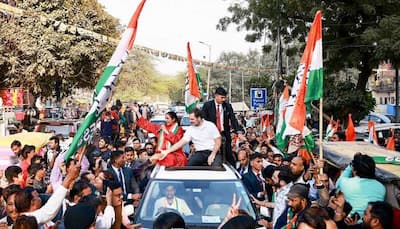 Down But Not Out: Delhi Poll Result Has A Silver Lining For Congress And Lesson For Regional Parties - Analysis