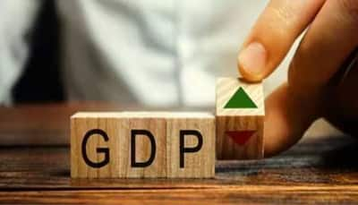 India’s GDP Growth Expected To Touch 6.6% In Q3 Of 2024-25: Report