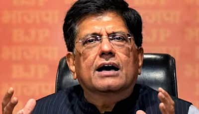 Japan Is India's 5th-Largest Source Of Foreign Investment: Piyush Goyal