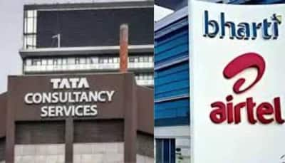 TCS, Bharti Airtel Tank Most As Eight Of India's Top 10 Firms Lose Rs 1.65 Lakh Crore In Market Value