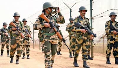 BSF Thwarts Infiltration Bid, Guns Down Pakistani Intruder Along International Border In  Pathankot Region