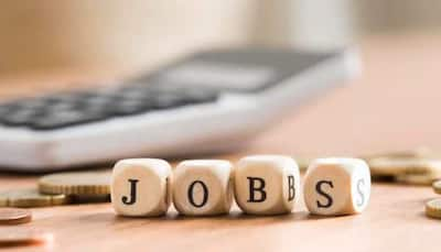 Indian White-Collar Job Market To See Hiring Surge In 2025 1st Half