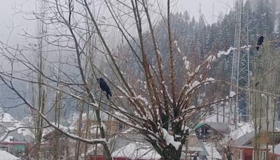 Heavy Snowfall In Kashmir Mountains, Rains Lash Plains; IMD Issues Yellow Alert