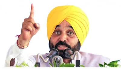 Punjab Govt Plans Crackdown On Drugs: CM Mann Sets 3-Month Deadline To End Menace In State