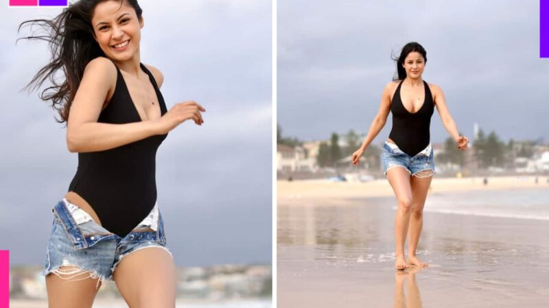 Shehnaaz Gill slammed for her bold photoshoot in a swimsuit and unzipped denim shorts: ‘Aag lage ese…’