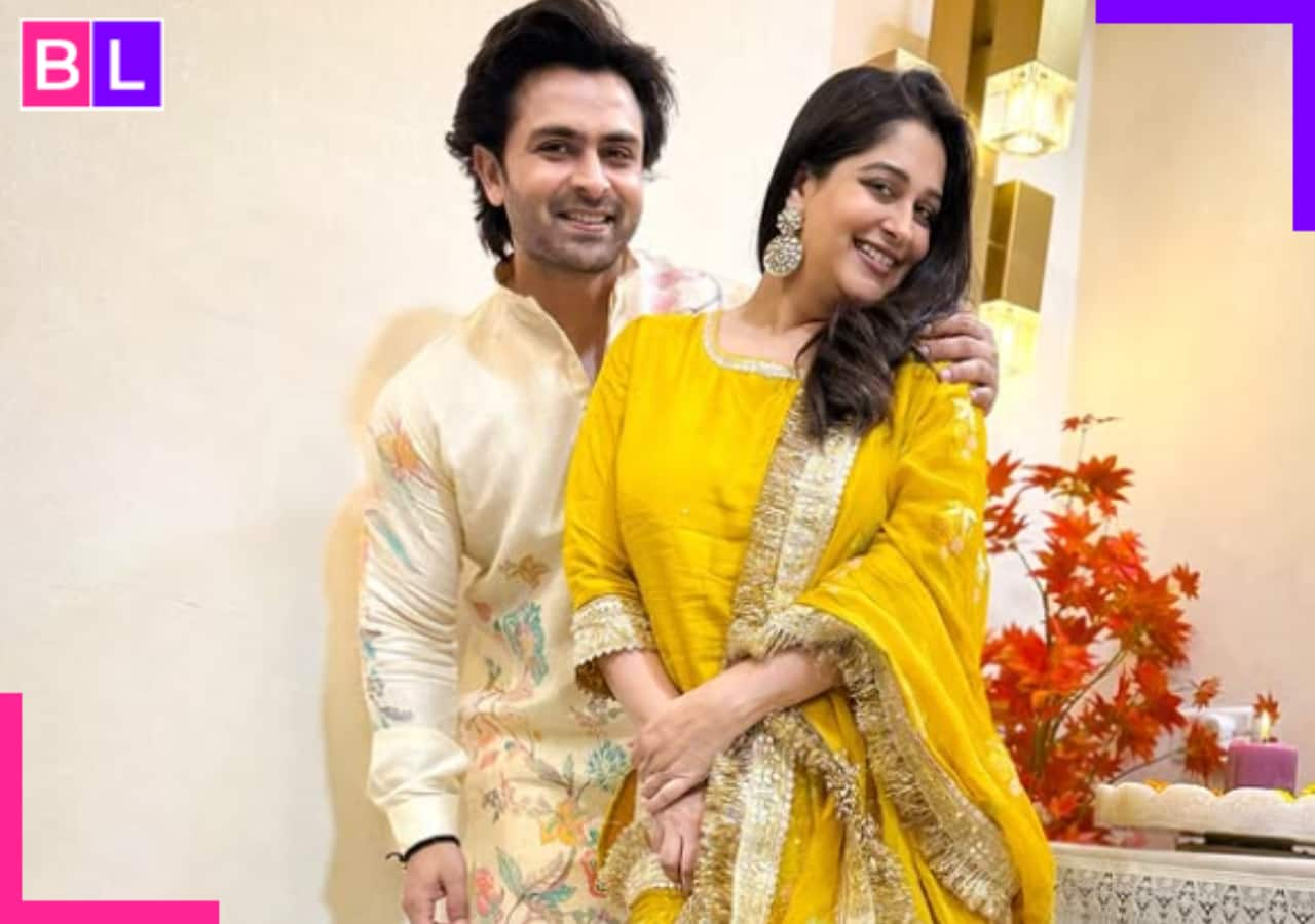 Celebrity MasterChef star Dipika Kakar pens a heartfelt note for Shoaib Ibrahim on wedding anniversary; ‘Toughest days…’