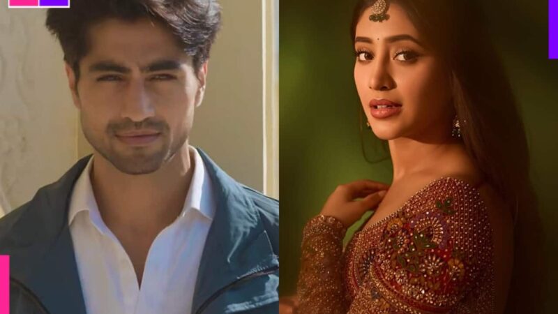 Baaharein: Harshad Chopda and Shivangi Joshi's starrer to replace THIS popular show?