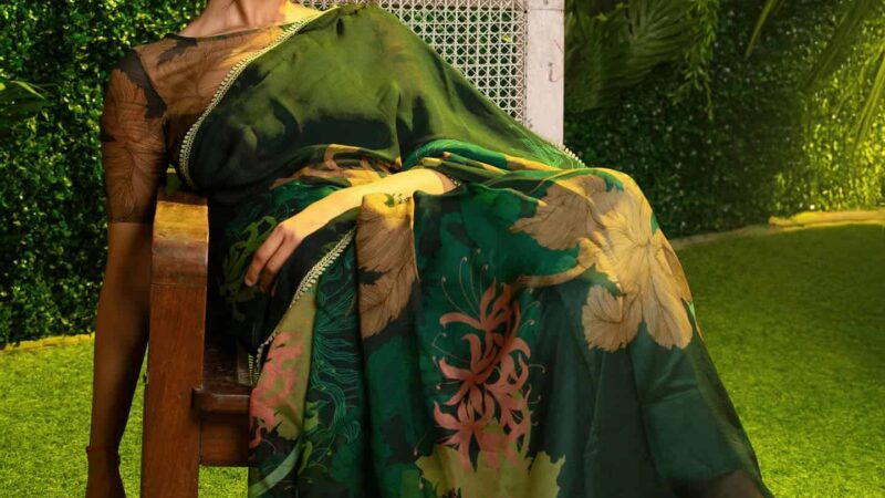 Meenakshi’s Green Saree Glow is Pure Poetry!